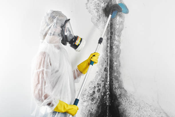 Best Asbestos and Lead Testing During Mold Inspection  in Elkhart Lake, WI