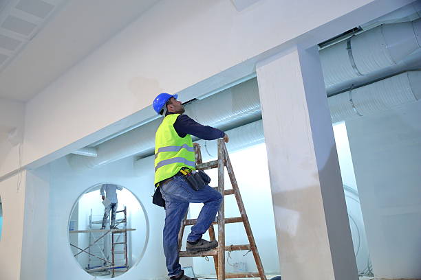 Best Mold Damage Restoration  in Elkhart Lake, WI